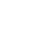 Domestic Ant Control For Accrungton